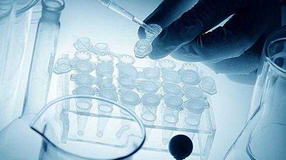 警惕美國(guó)試管嬰兒騙局!宣稱成功率高達(dá)80%只是個(gè)例