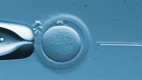 試管嬰兒如何能一次成功？