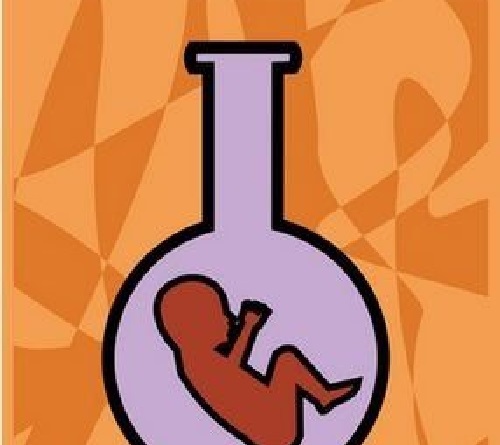 試管嬰兒生男生女是由精子決定嗎？