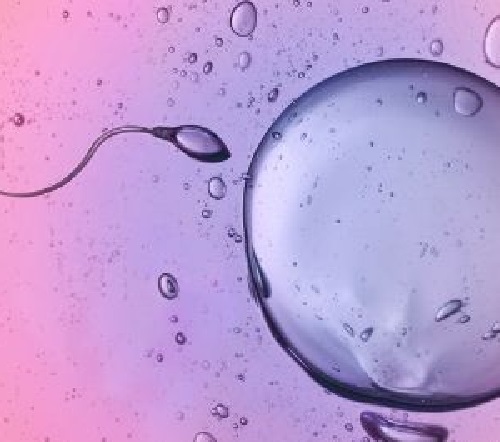 試管嬰兒在移植后有腹水是怎么回事？