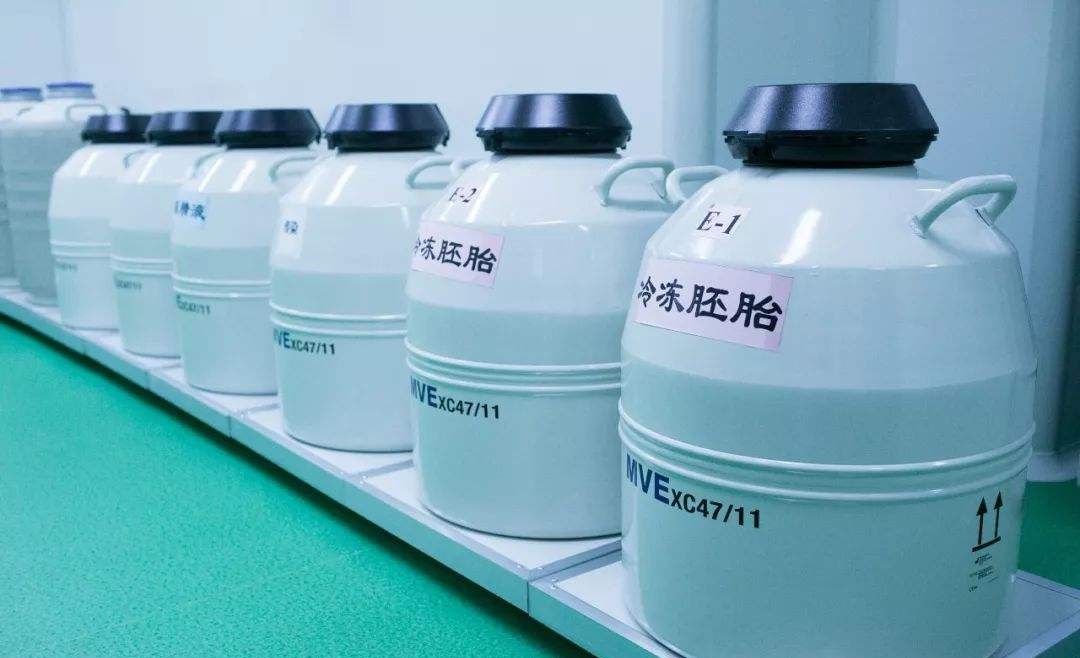 冷凍胚胎最長(zhǎng)可以保存多久？