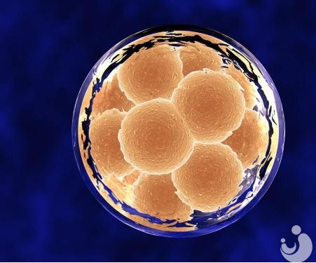 促排卵可以不打針嗎？一般幾次能成功？