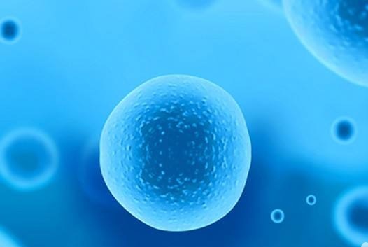 卵泡發(fā)育不良，如何在日常生活中調(diào)理？