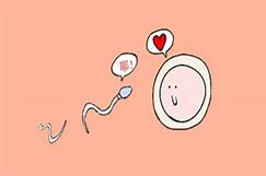 知道這幾種快速懷孕方法，你離當(dāng)媽媽不遠(yuǎn)了！