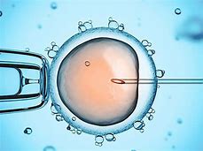 做好這三點(diǎn)，讓你遠(yuǎn)離卵巢早衰的困惑！