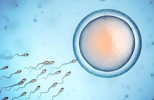 做試管嬰兒前期很麻煩？看完你就明白了！