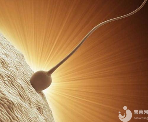 不孕患者為什么要進行輸卵管造影呢？