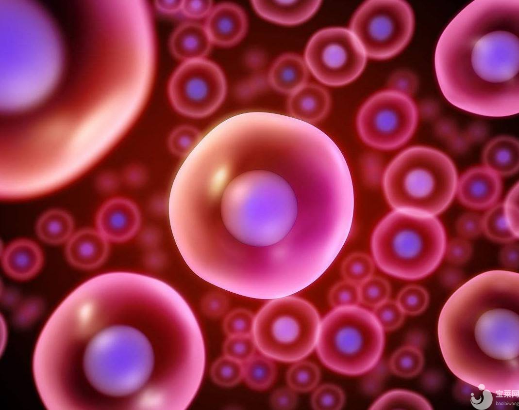 卵泡長不大？三大招教你搞定