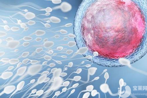 這些婦科B超小貼士，你知道嗎？