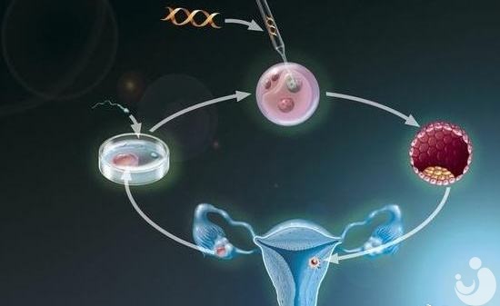 卵巢早衰的年輕女性，試管嬰兒圓生子夢！