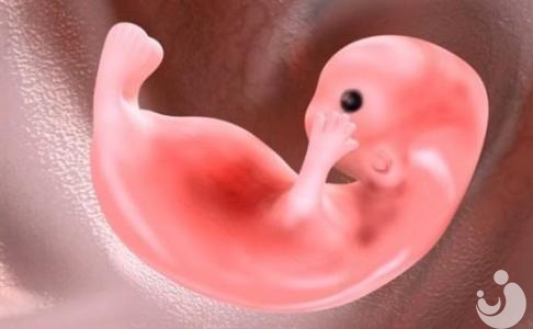 關于試管嬰兒的謠言，你輕信了嗎？