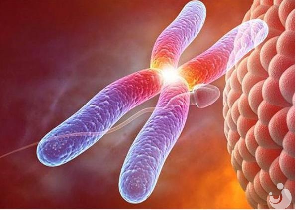 染色體異常？試管嬰兒為你解決煩惱！