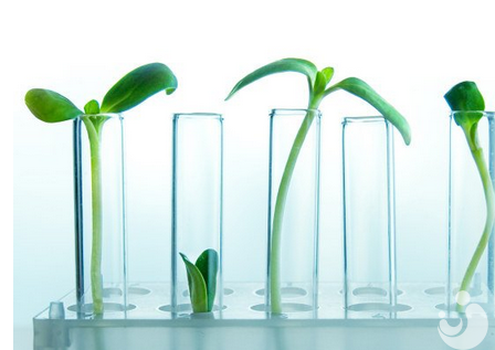 試管嬰兒成功移植后，寬心等待才是智舉！