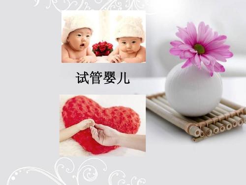 要解決什么問題才能增加試管成功率？