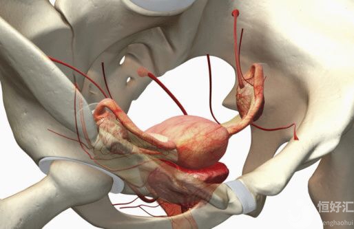 子宮容受性不好，怎么做能改善呢？