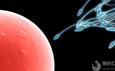 你知道卵子能存活多久嗎？