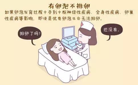 女性不排卵，是什么原因?qū)е碌哪兀? /></a>
	<div   id=