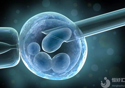你知道冷凍過的胚胎是怎樣解凍移植的嗎？