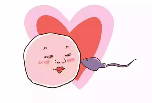 在促排卵期間，能否進行泡腳？