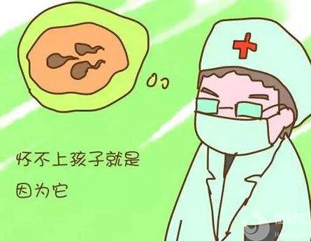 男性無精癥，你了解多少？