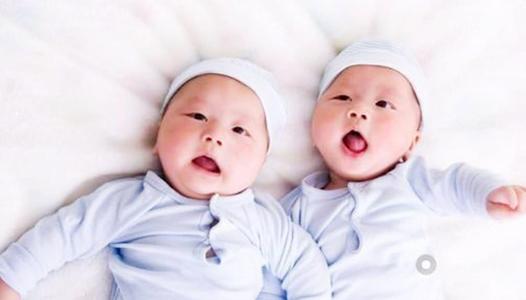 同卵雙胞胎跟異卵雙胞胎，是同個意思？