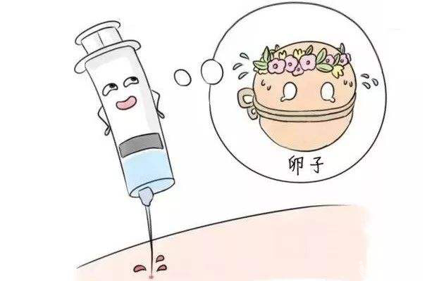 促排卵的長方案，你知道多少？，你知道多少？