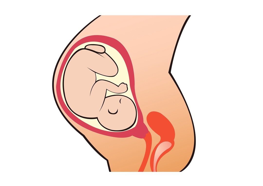 宮腔環(huán)境不好，試管寶寶怎么待？