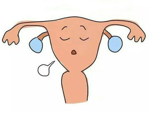 內(nèi)膜的厚度對試管治療重不重要？