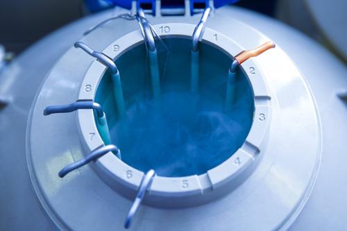 試管技術(shù)可信不可信？