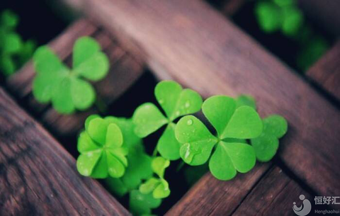 微刺激方案對卵巢更溫柔，你知道嗎？