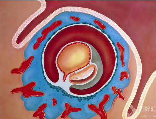 怎樣做可以減少胚胎碎片率？