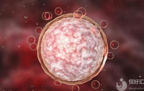 取卵時，要用很長時間才能完成嗎？