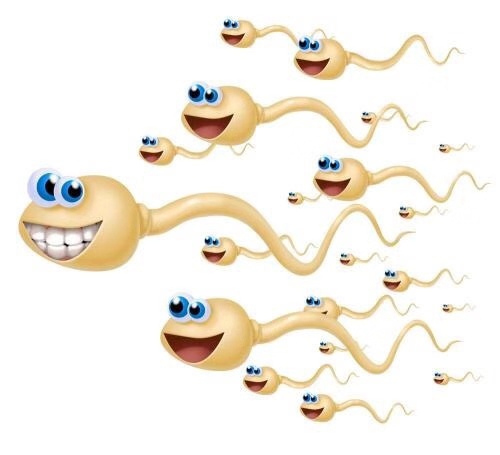 精子畸形，是什么導(dǎo)致的？