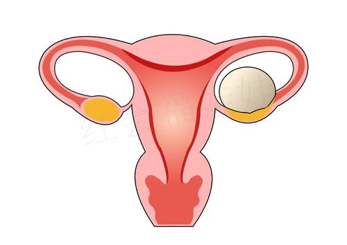 卵巢早衰是否真的沒有生育的希望了？