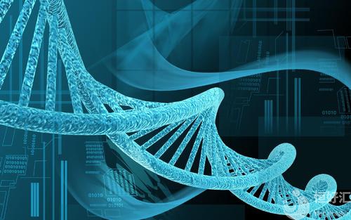 凍胚移植要怎樣做，才能提高成功率？