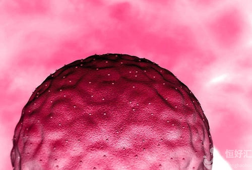 發(fā)育不是很好的胚胎，為什么要培養(yǎng)成囊胚胎？