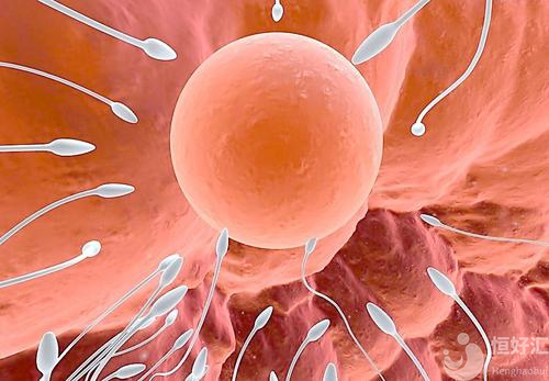 女性的卵泡有多少個(gè)才算是正常的呢？