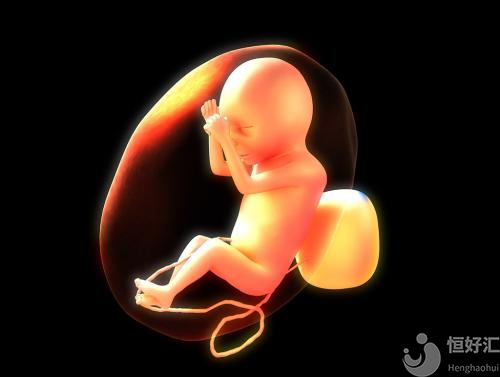 優(yōu)質(zhì)胚胎是什么樣？