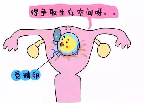 有輸卵管問題能否直接做試管嬰兒？