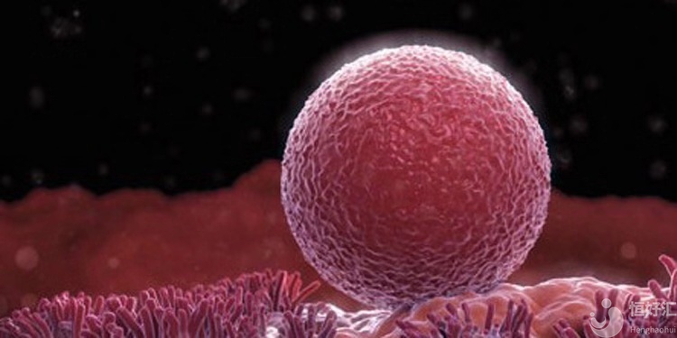 高齡女性的卵子質(zhì)量不好，如何懷孕？