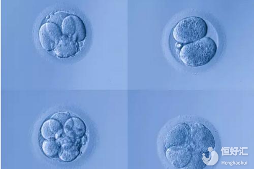試管嬰兒胚胎移植成功是不是就代表懷孕了呢？