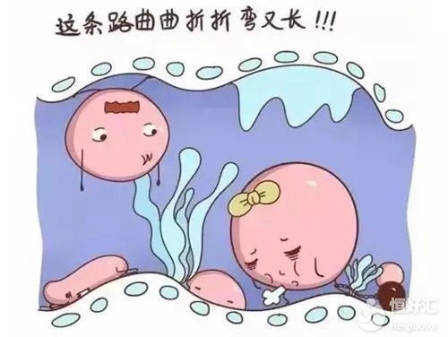 輸卵管積水不能治？假信息！