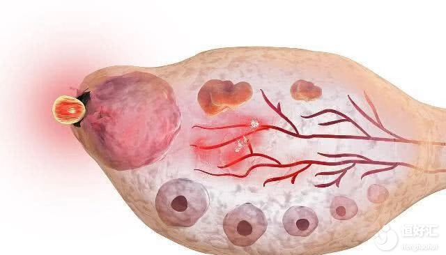了解女性排卵期，是生育孩子的硬知識(shí)！