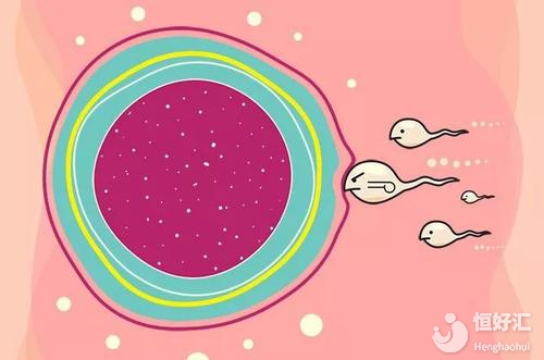 卵泡過小不能生孩子？或許你可以這樣做