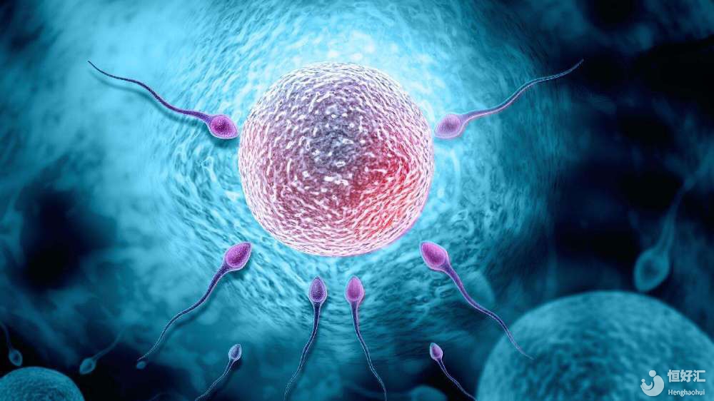 促排卵針會使人變胖？妹子那你誤會大了