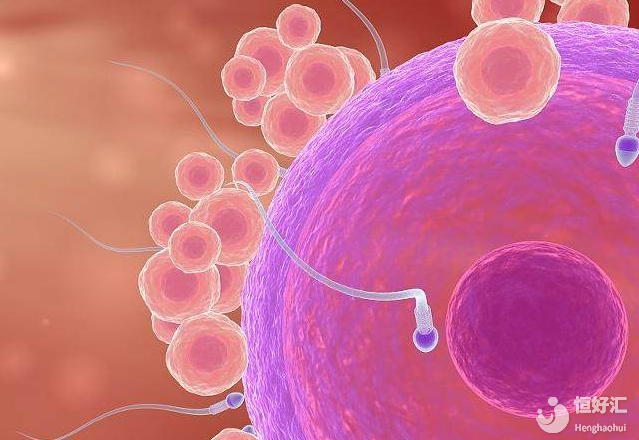 卵子質(zhì)量低怕影響受孕？也許你可以這樣做