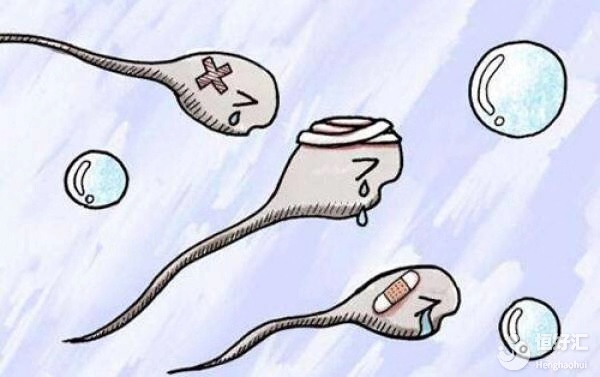 熬夜對男性精子的殺傷力有多大？