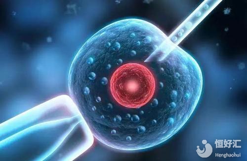 胚胎移植失敗的癥狀，快來看看你有沒有