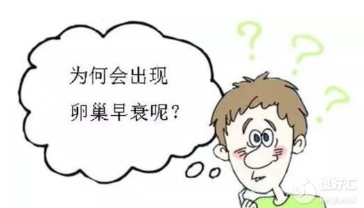 FSH值過高，一定是卵巢早衰嗎？