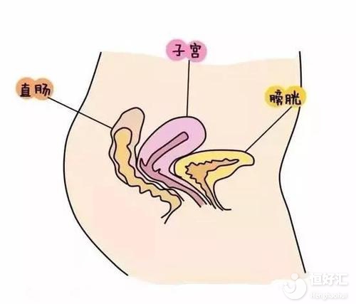 已懷孕12周，孕婦宮頸有多大才正常？